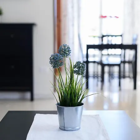 ヴィラ Brigida & Pool