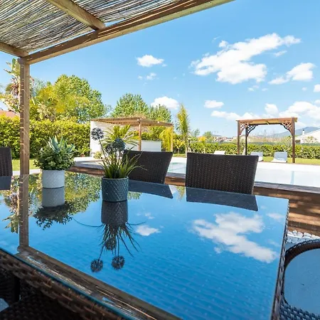 Brigida & Pool アシェーア